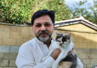 Zdjęcie do artykułu: Koty seniorzy – jak dbać o starszego pupila